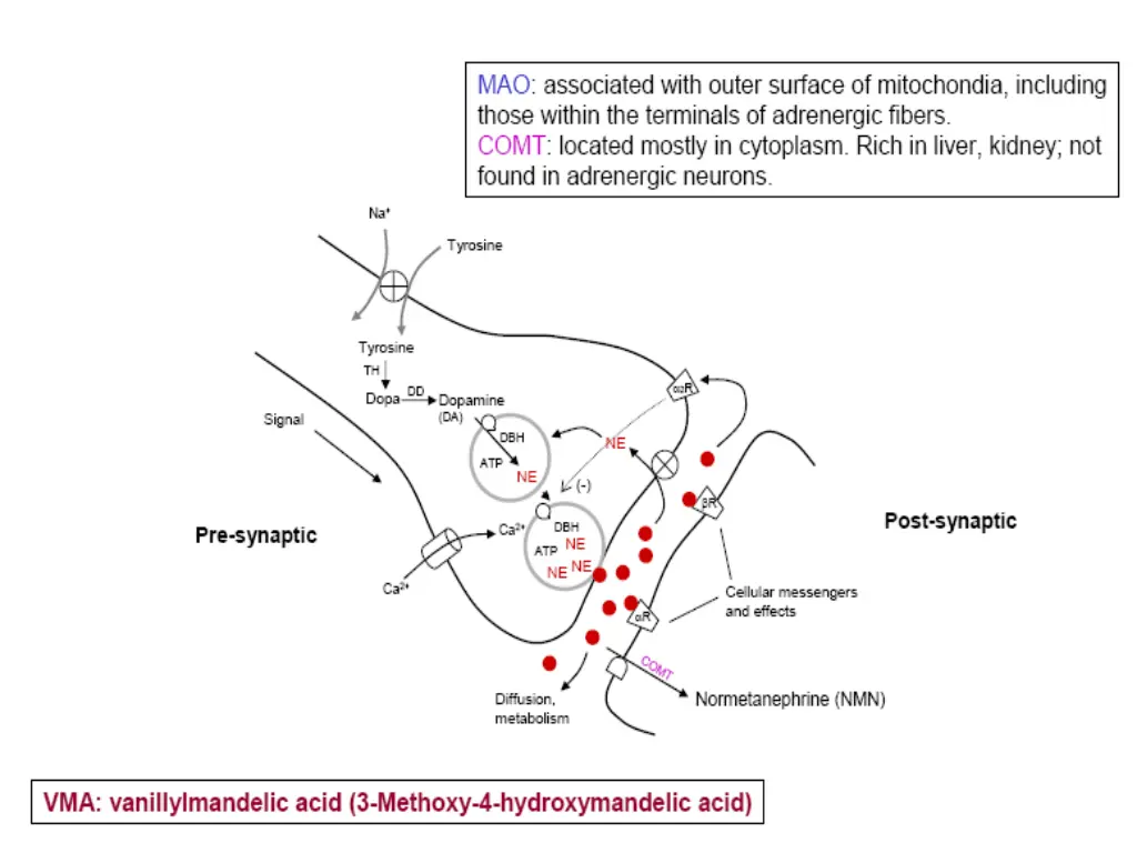 slide11