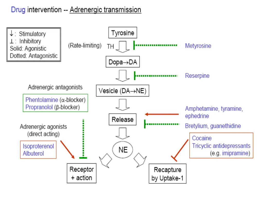 slide12
