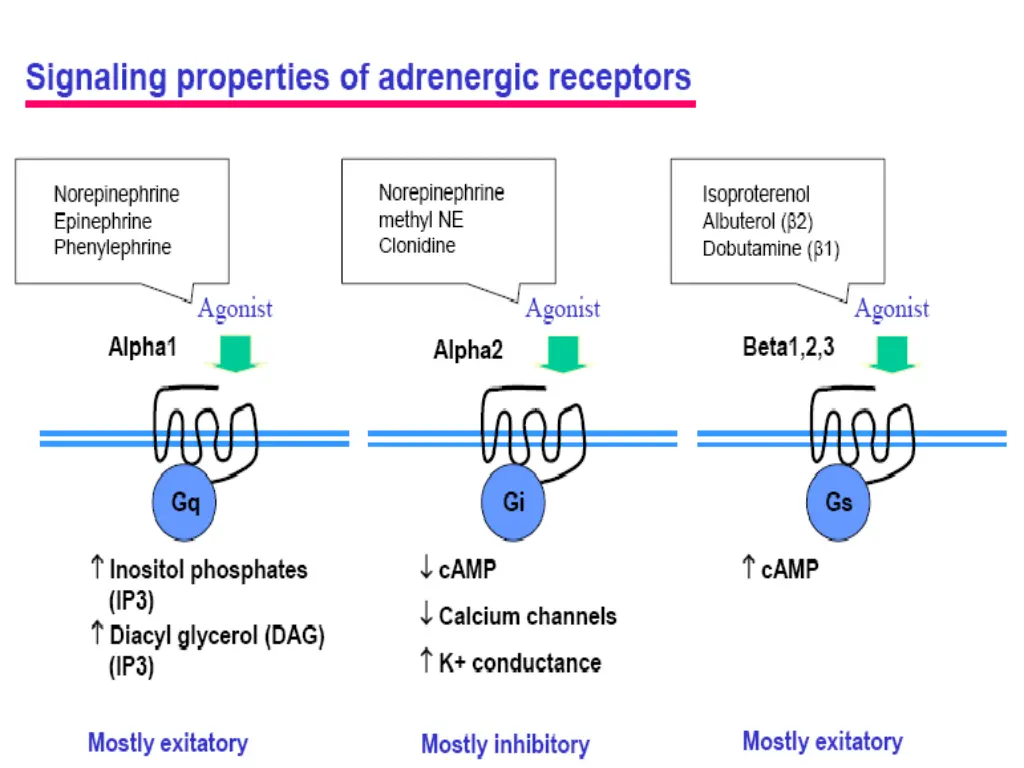 slide15