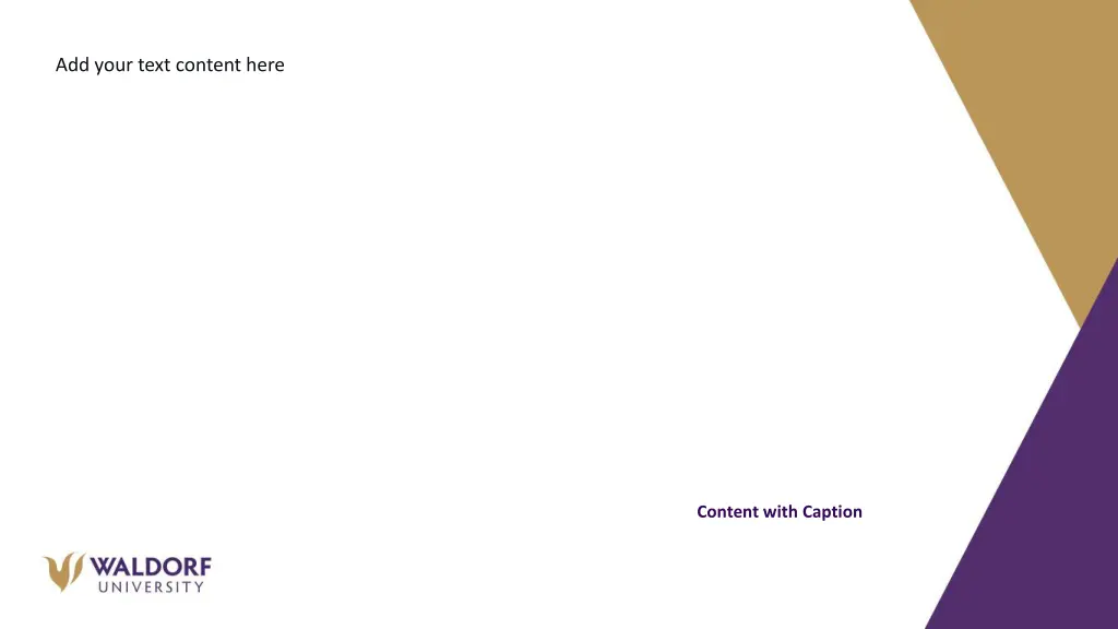 add your text content here 2