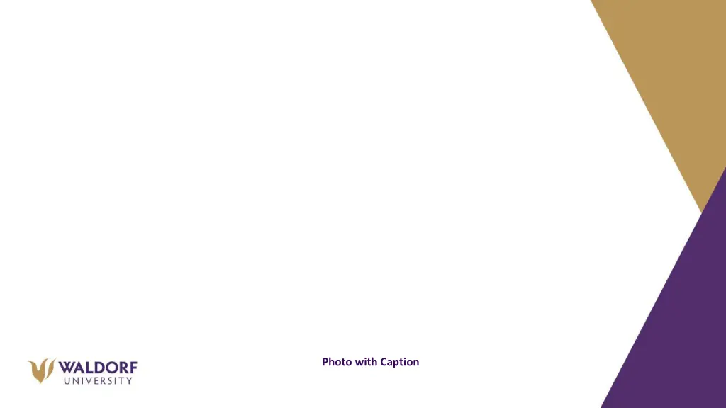 photo with caption 1