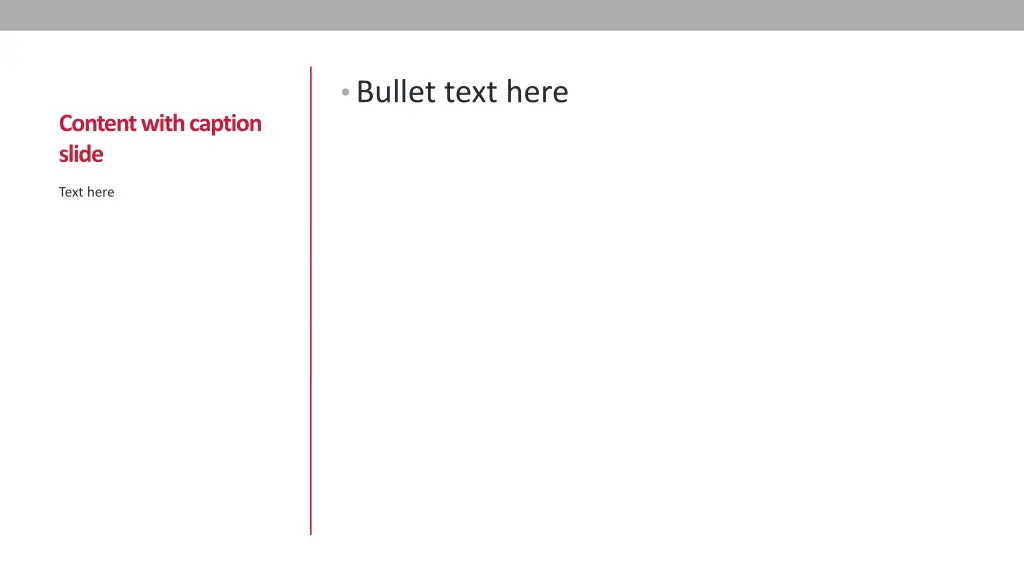 bullet text here