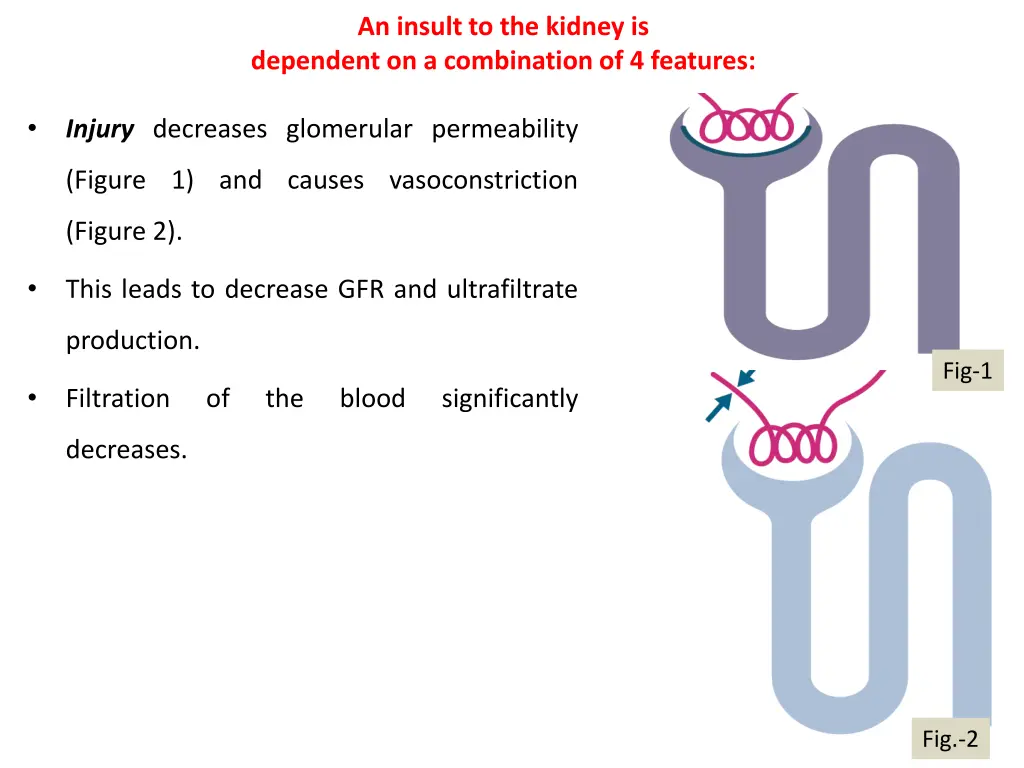 an insult to the kidney is dependent