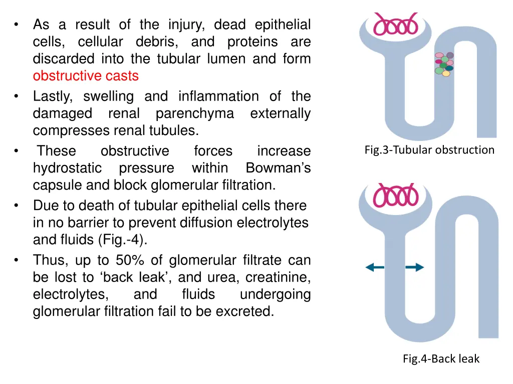 as a result of the injury dead epithelial cells