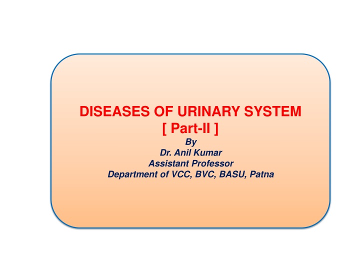 diseases of urinary system part ii by dr anil