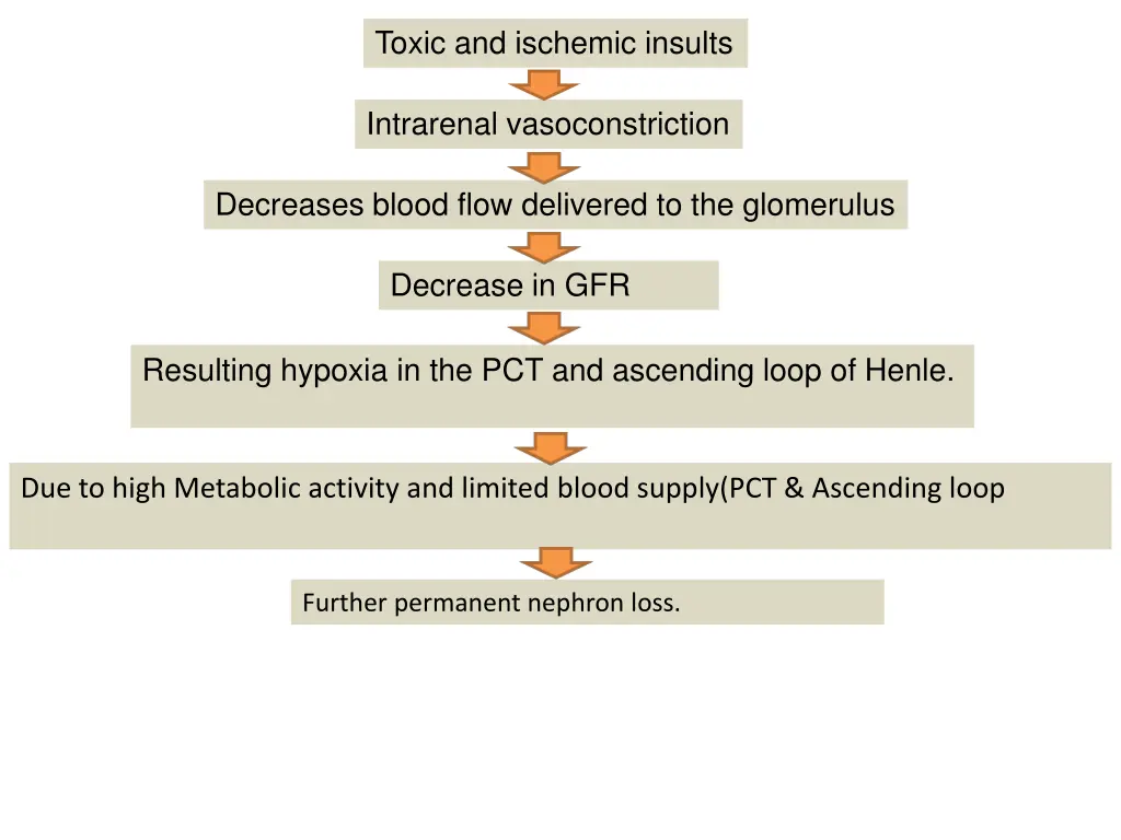 toxic and ischemic insults