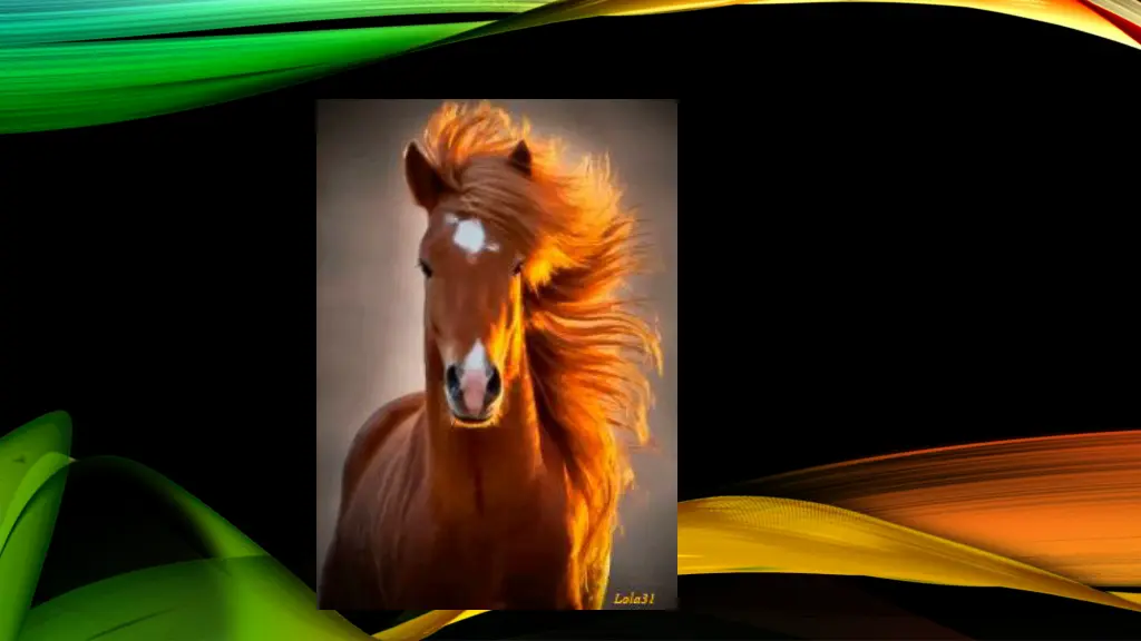 slide17