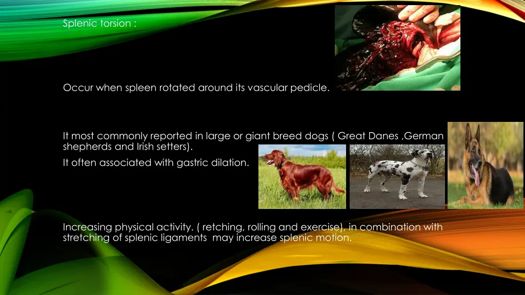 splenic torsion