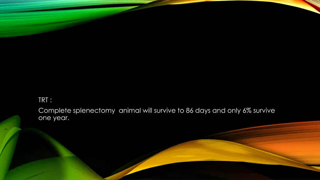 trt complete splenectomy animal will survive