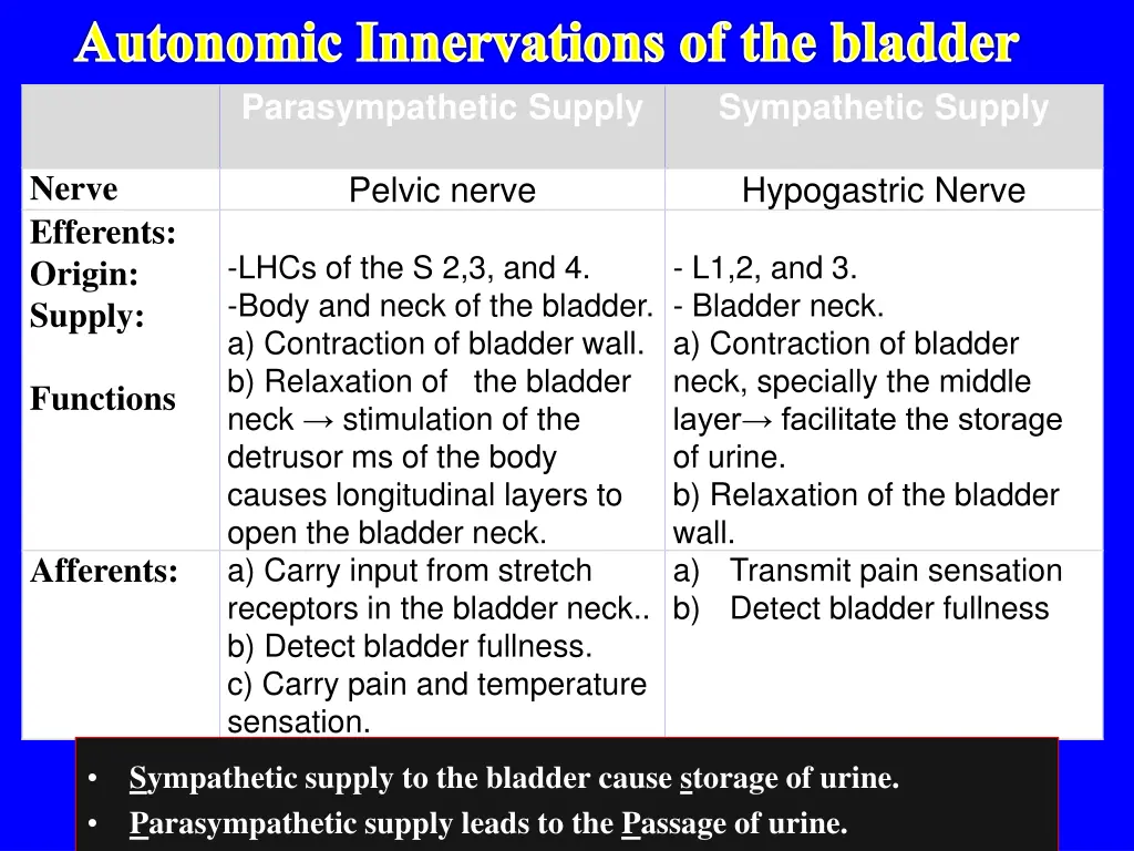 autonomic innervations of the bladder