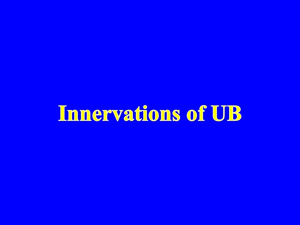 innervations of ub