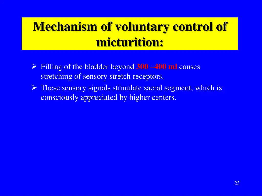 mechanism of voluntary control of micturition