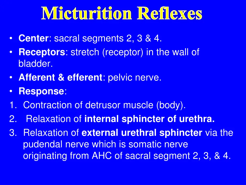 micturition reflexes