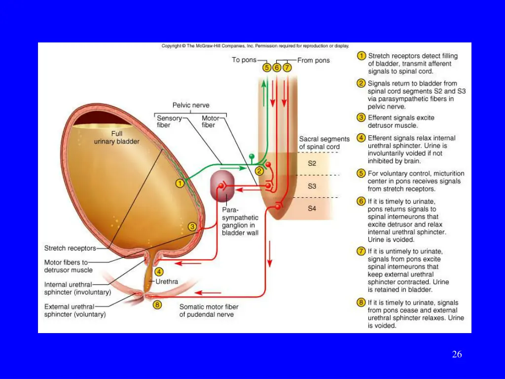 slide26