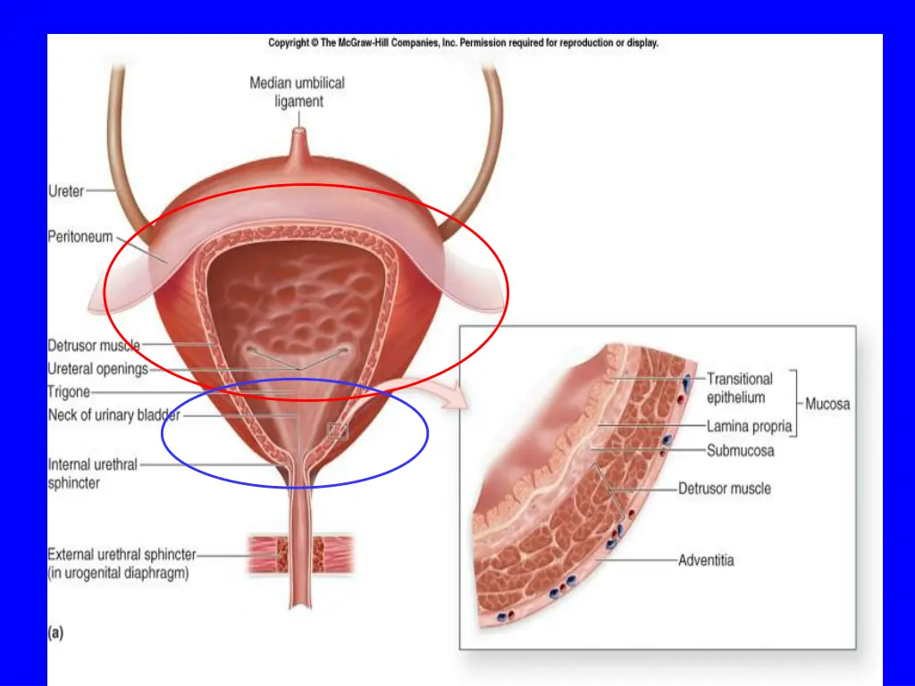 slide5