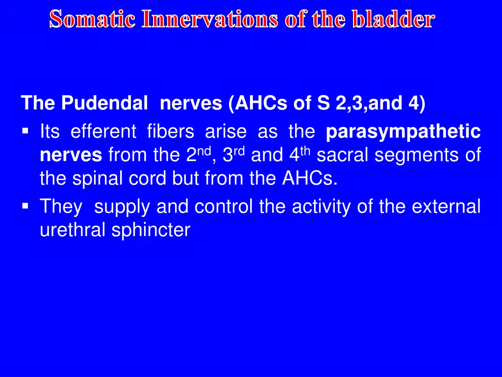 somatic innervations of the bladder