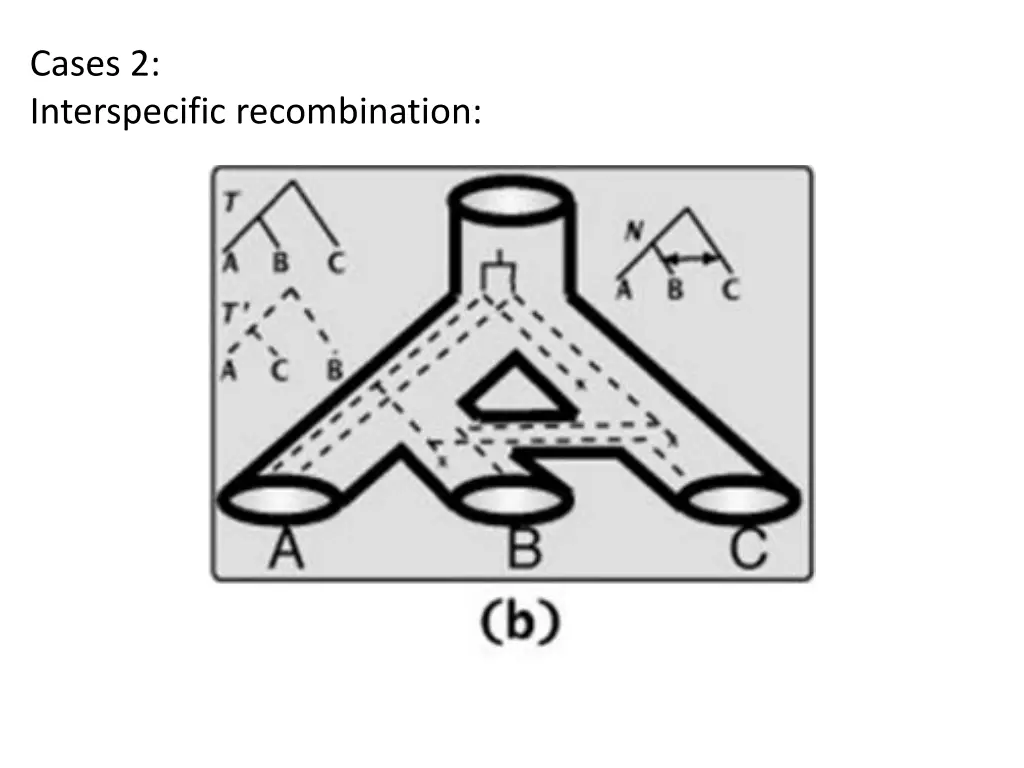 cases 2 interspecific recombination