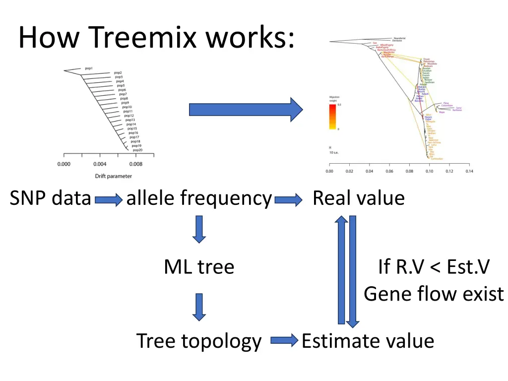 how treemix works