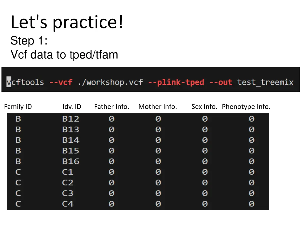 let s practice step 1 vcf data to tped tfam