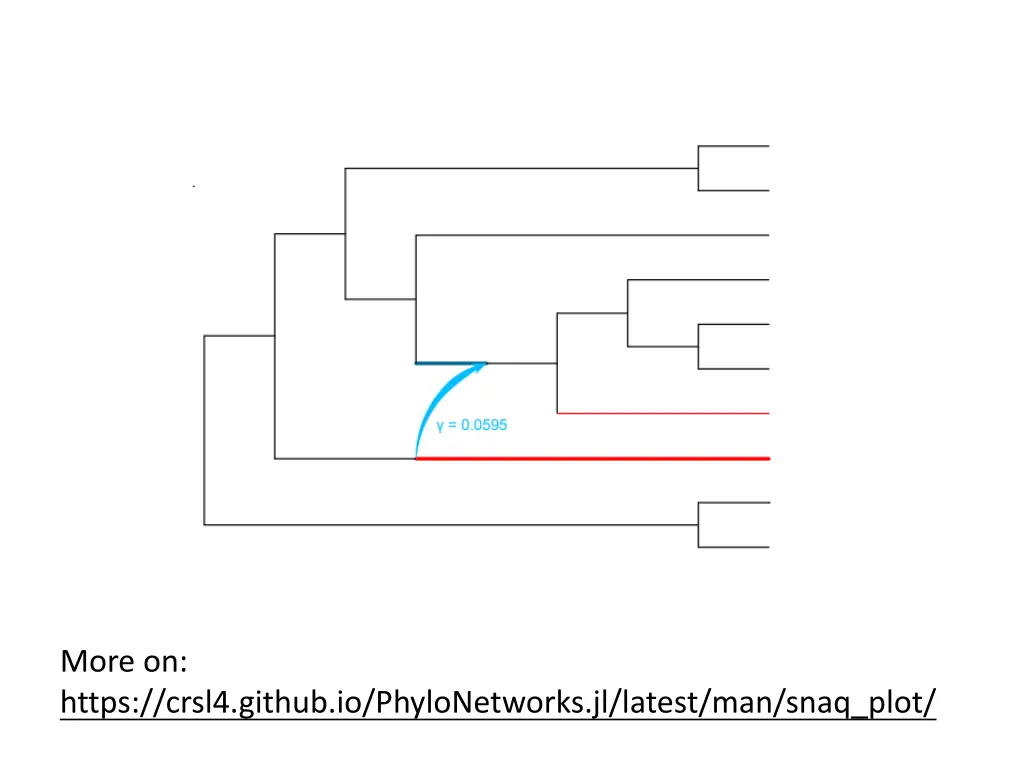 more on https crsl4 github io phylonetworks