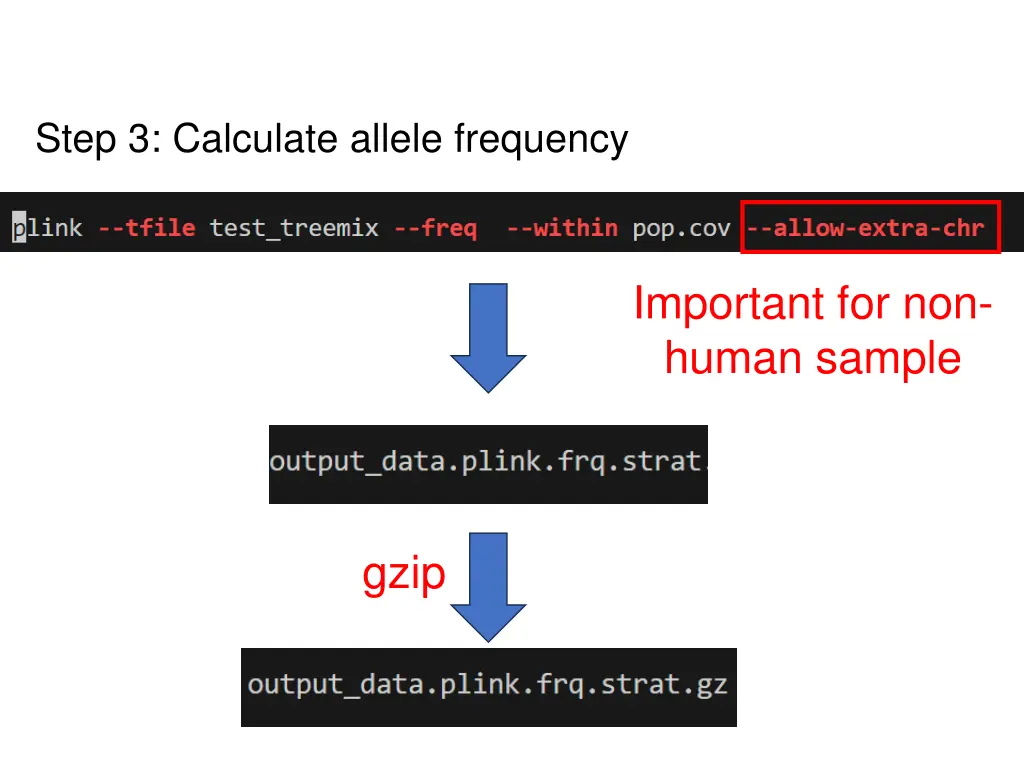 step 3 calculate allele frequency