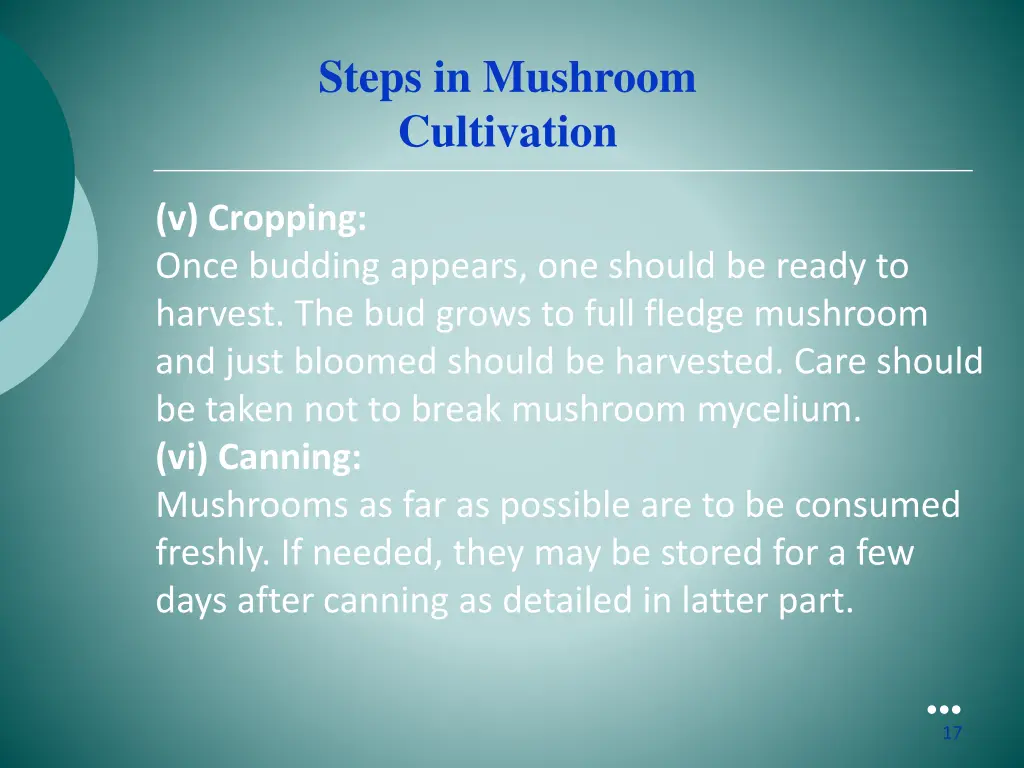 steps in mushroom cultivation 2