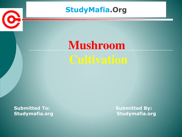 studymafia org