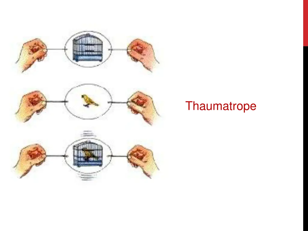 thaumatrope