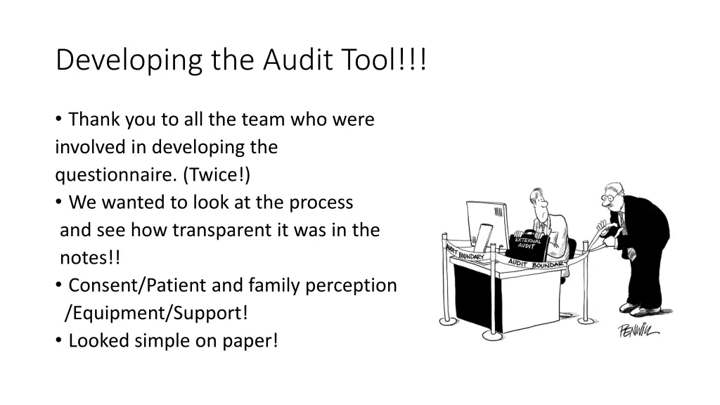 developing the audit tool