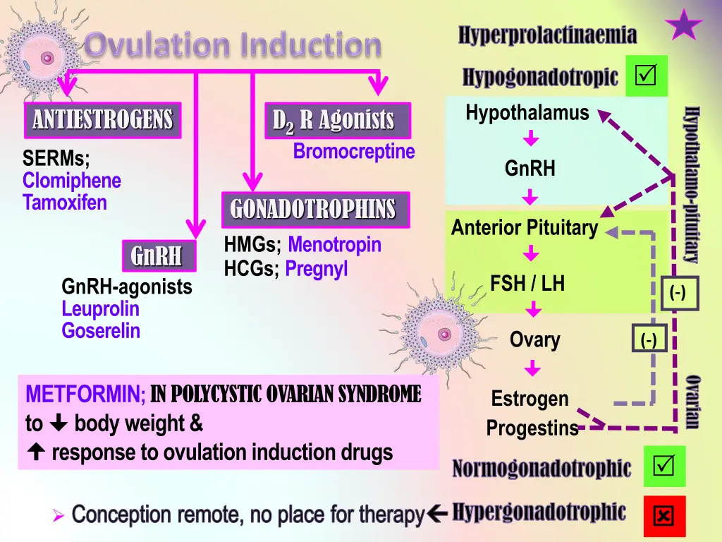 hyperprolactinaemia
