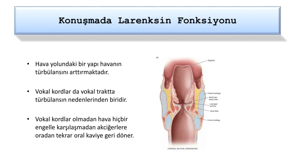 hava yolundaki bir yap havan n t rb lans n artt
