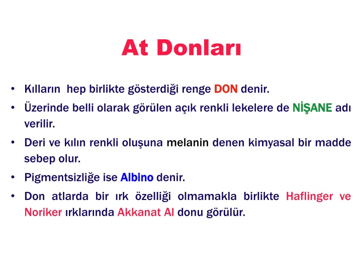 at donlar