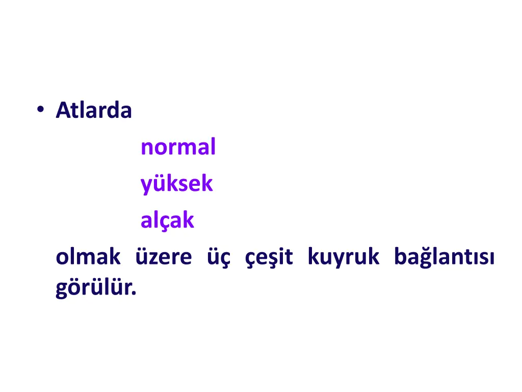 atlarda olmak zere e it kuyruk ba lant s g r l r