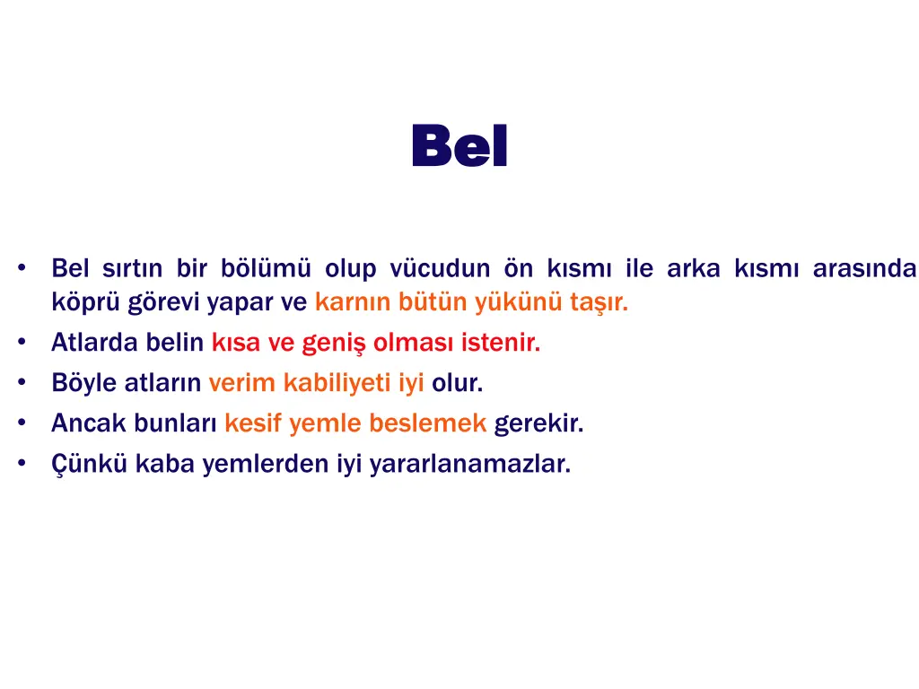 bel bel