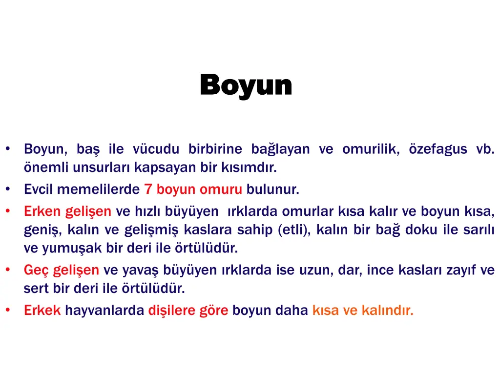 boyun boyun