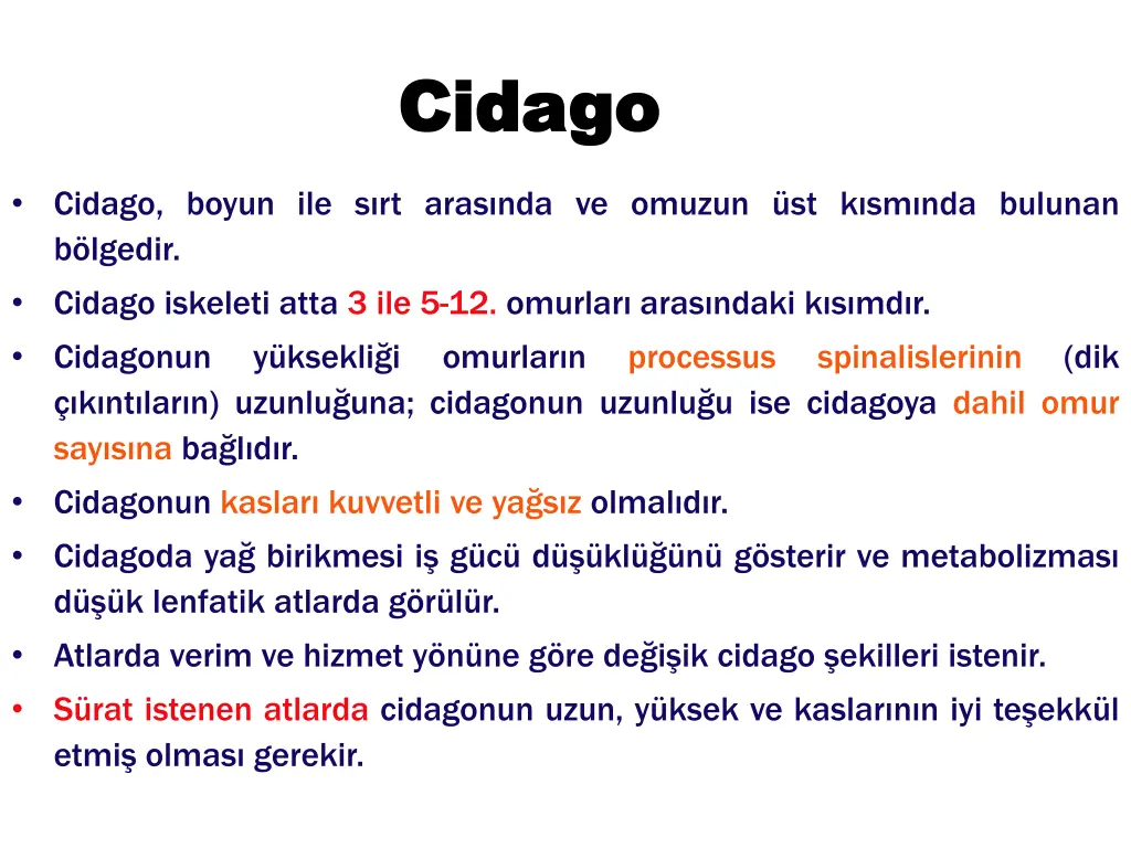 cidago cidago