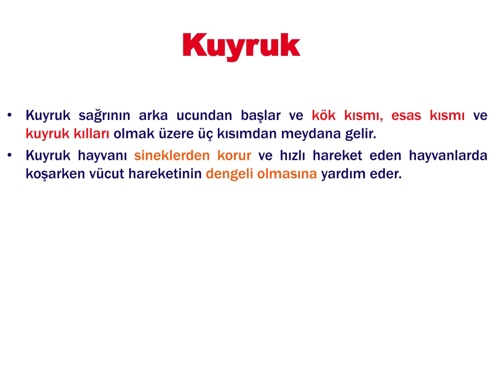 kuyruk kuyruk