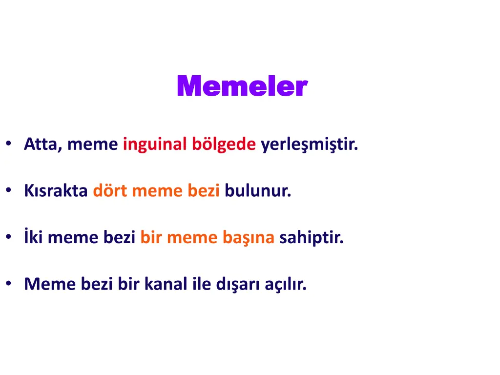 memeler memeler
