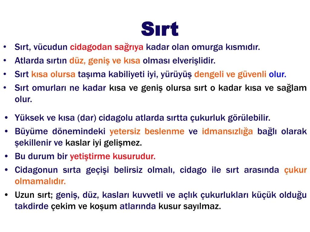 s rt s rt