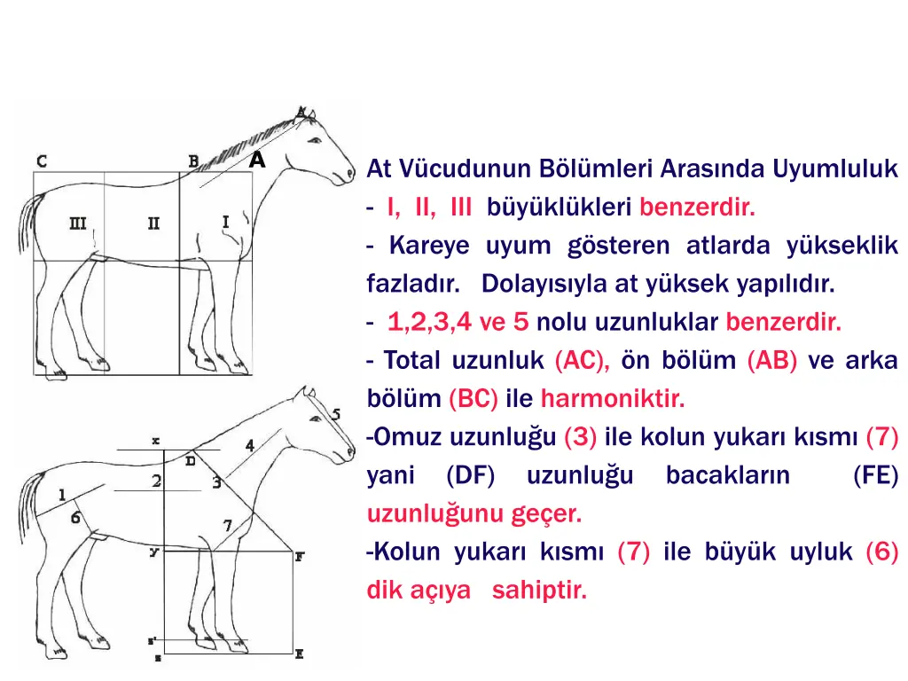 slide23