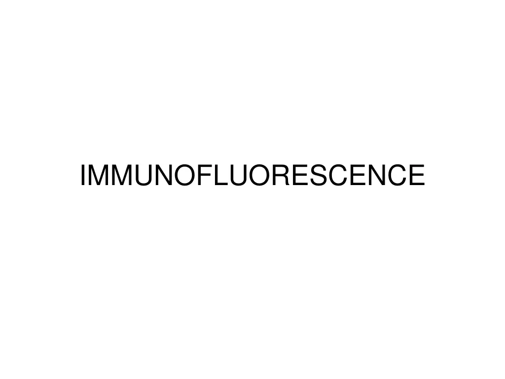 immunofluorescence