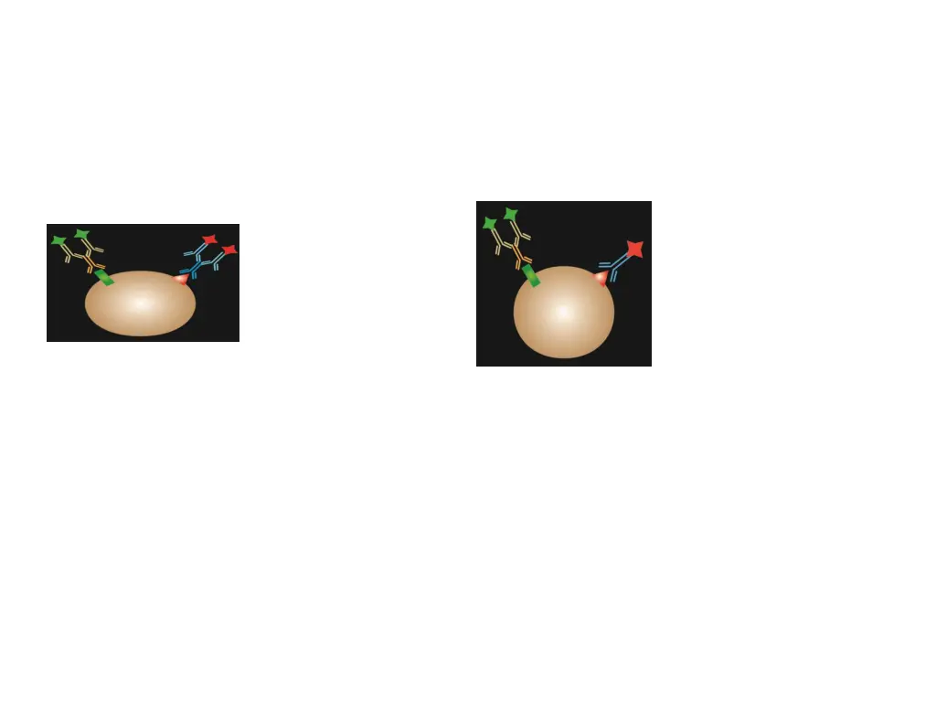 slide16