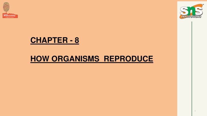 chapter 8