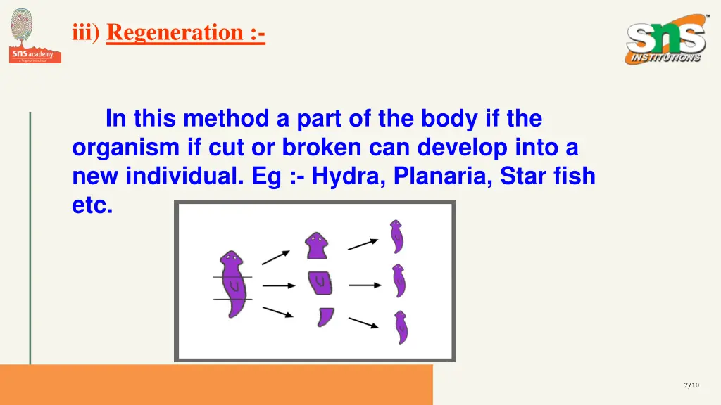 iii regeneration
