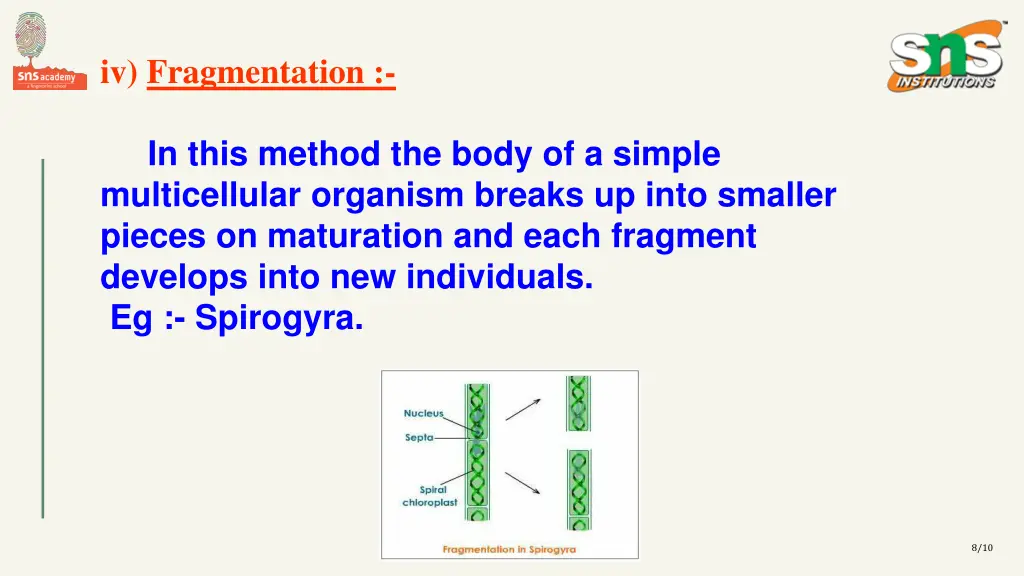 iv fragmentation