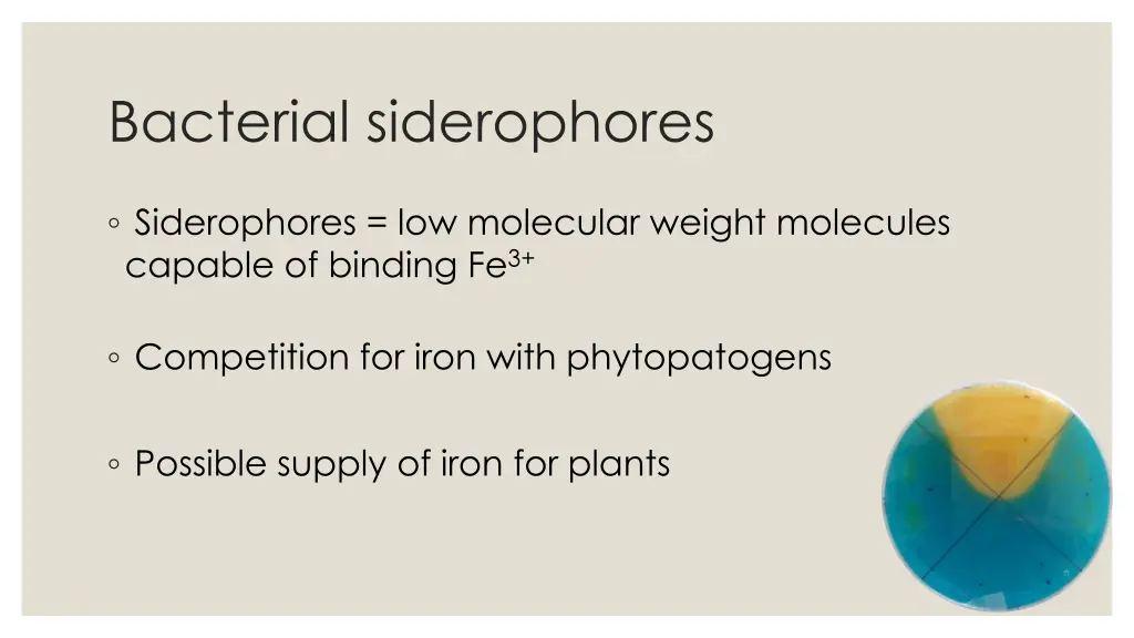 bacterial siderophores