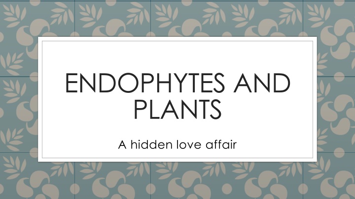 endophytes and plants