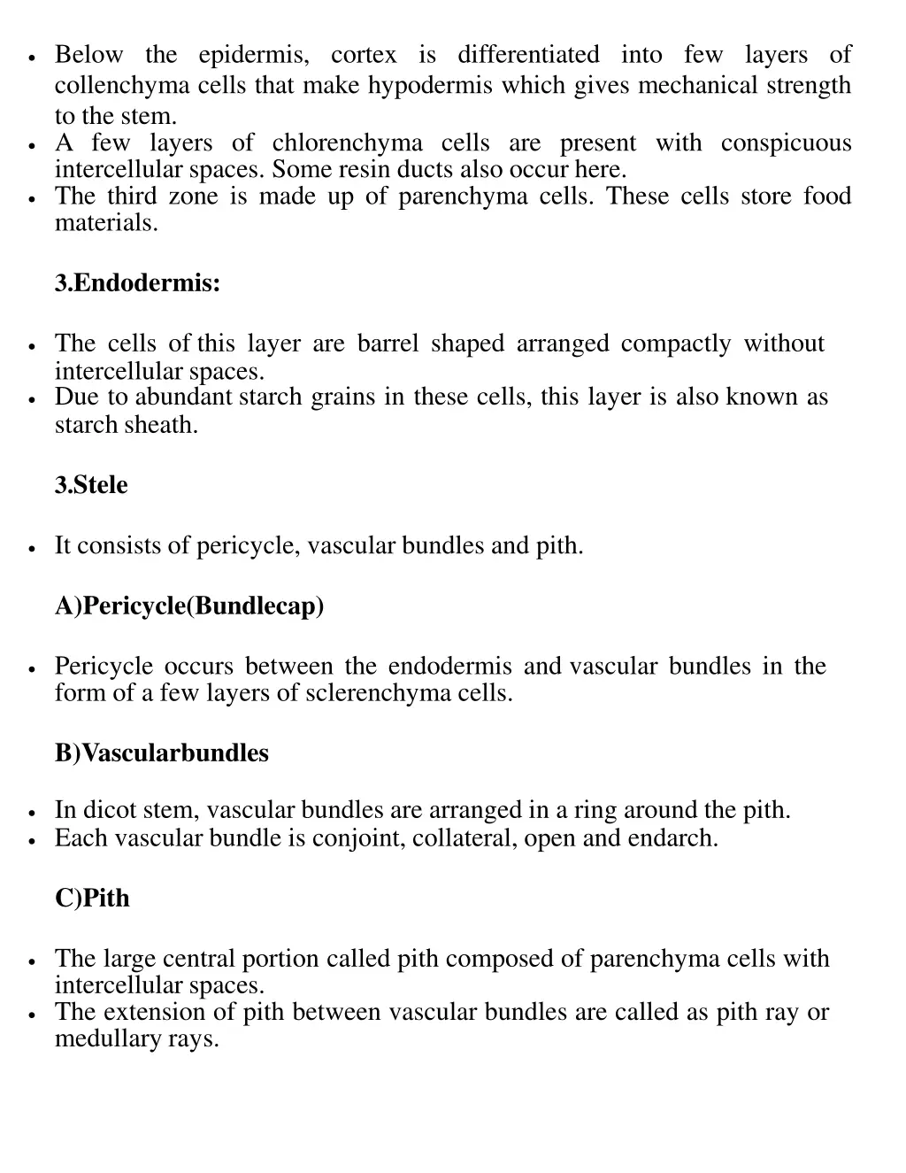 below the epidermis cortex is differentiated into