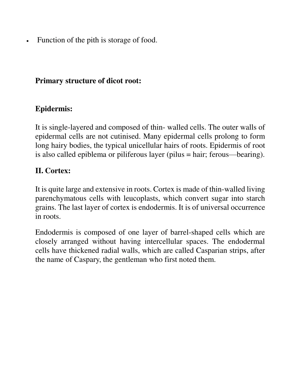 function of the pith is storage of food