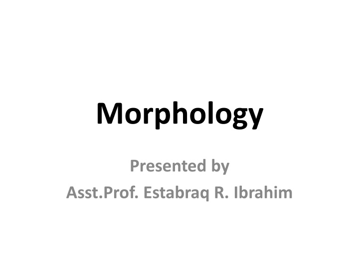 morphology